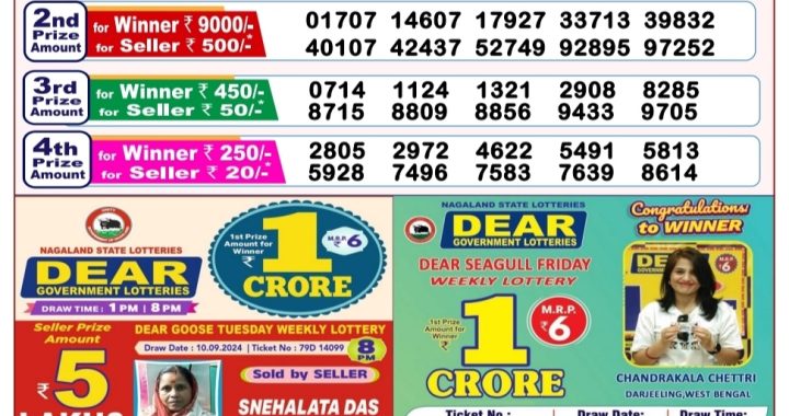 Lottery Sambad Old Result 8PM 17.09.24