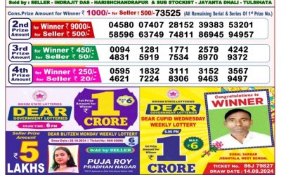 Lottery Sambad Old Result 8PM 5.11.24