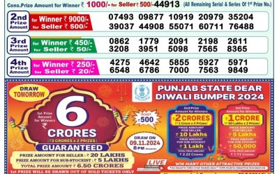 Lottery Sambad Old Result 1PM 8.11.24