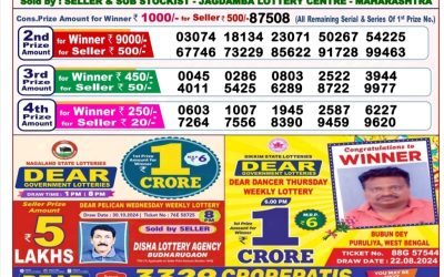 Lottery Sambad Old Result 8PM 8.11.24