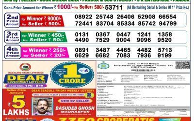 Lottery Sambad Old Result 6PM 11.11.24