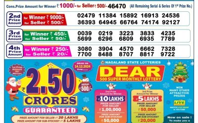 Lottery Sambad 6 PM Result Today 13.11.24