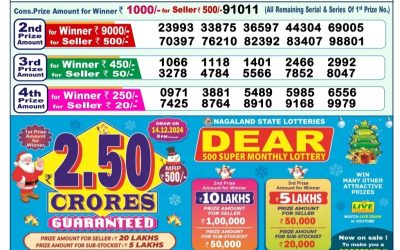 Lottery Sambad 1 PM Result Today 14.11.24